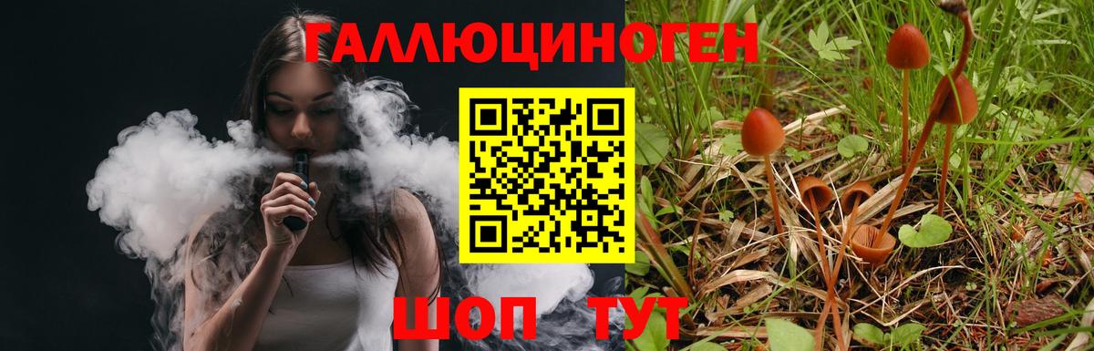 Приморско-Ахтарск  Псилоцибиновые грибы мицелий  магазин продажи наркотиков  Вход с VPN 