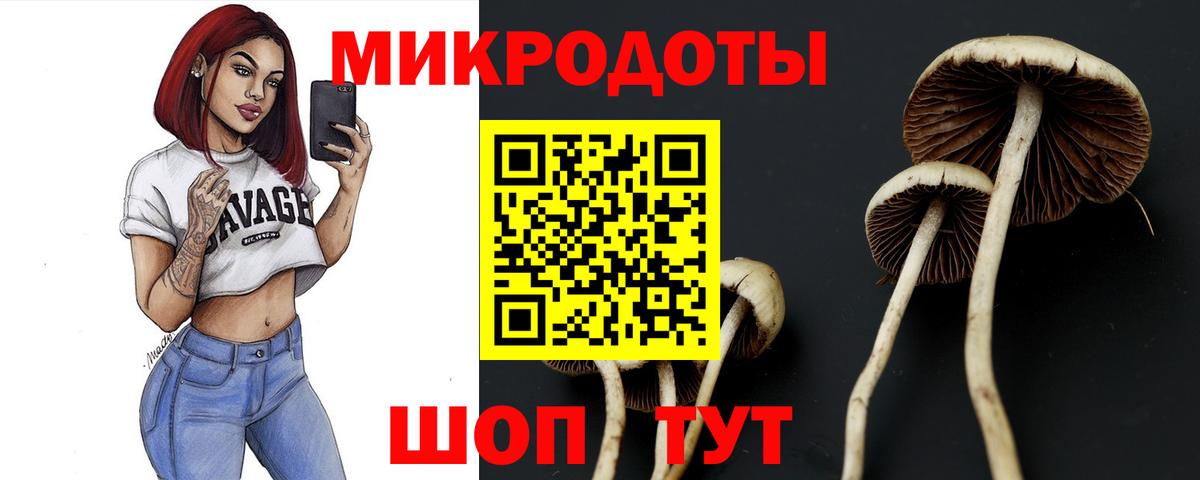 Псилоцибиновые грибы мицелий Приморско-Ахтарск